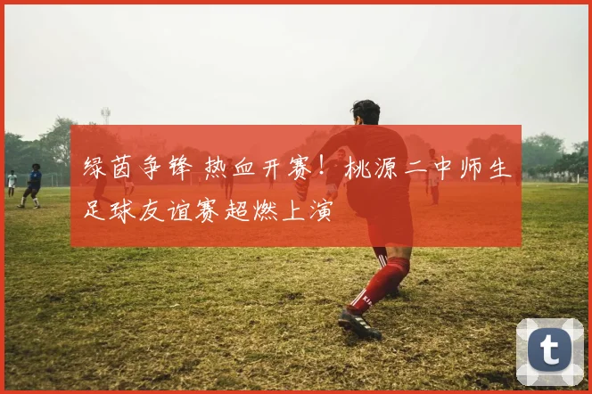 绿茵争锋 热血开赛！桃源二中师生足球友谊赛超燃上演